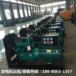 昌都發(fā)電機出租銷售公司的技術(shù)開發(fā)之路 服務(wù)高原電力的可靠基石